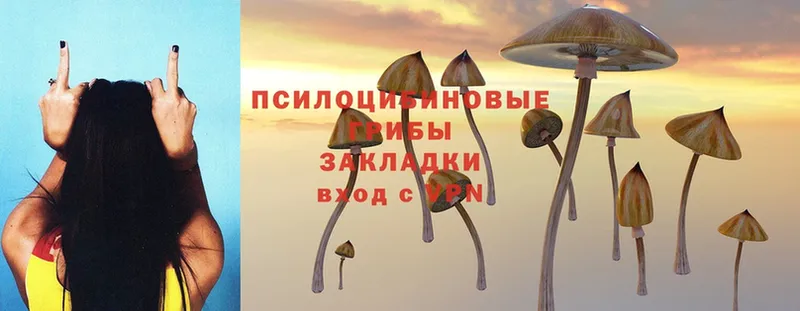 Псилоцибиновые грибы MAGIC MUSHROOMS  наркотики  Дудинка 